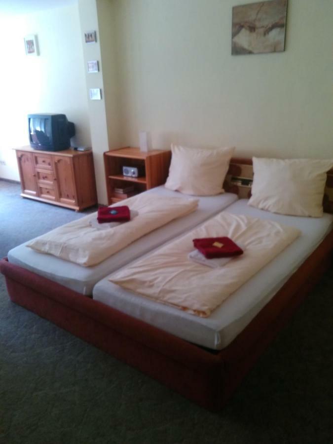 Hotel Bergschlosschen Zorge 外观 照片