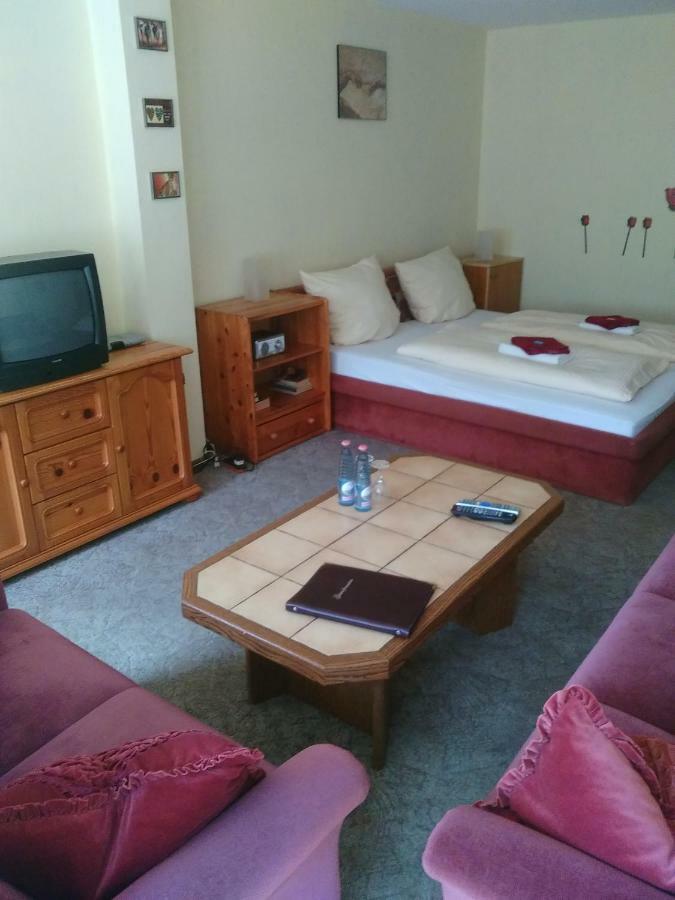 Hotel Bergschlosschen Zorge 外观 照片